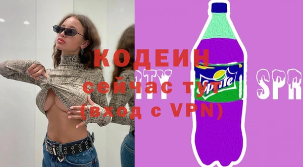 ГАЛЛЮЦИНОГЕННЫЕ ГРИБЫ Богданович