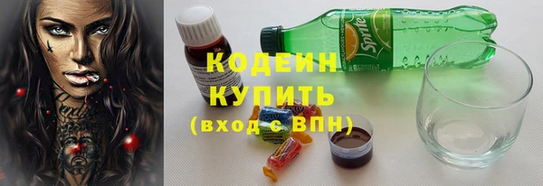ГАЛЛЮЦИНОГЕННЫЕ ГРИБЫ Богданович