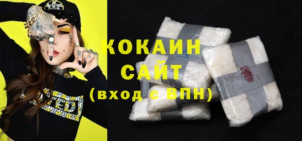 ГАЛЛЮЦИНОГЕННЫЕ ГРИБЫ Богданович