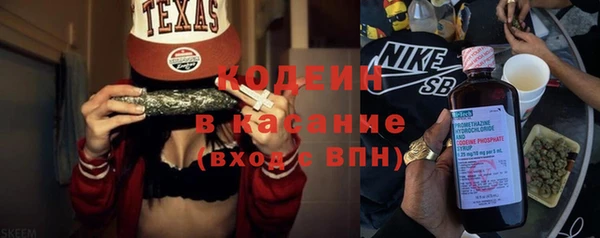 ГАЛЛЮЦИНОГЕННЫЕ ГРИБЫ Богданович