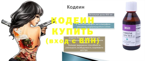 ГАЛЛЮЦИНОГЕННЫЕ ГРИБЫ Богданович