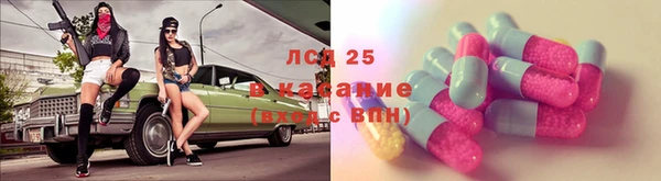 PSILOCYBIN Богородск
