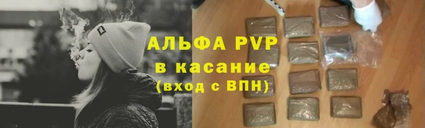 ГАЛЛЮЦИНОГЕННЫЕ ГРИБЫ Богданович