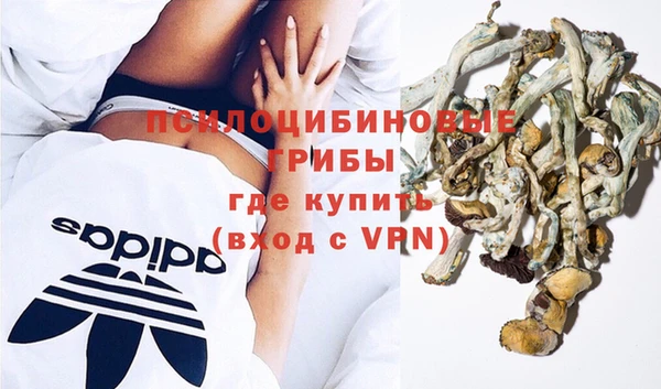 PSILOCYBIN Богородск
