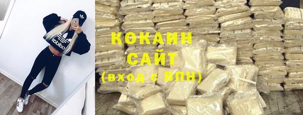 ГАЛЛЮЦИНОГЕННЫЕ ГРИБЫ Богданович