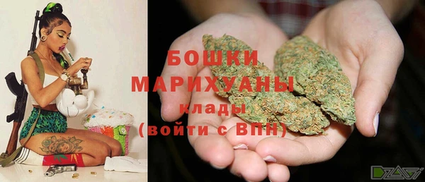 ГАЛЛЮЦИНОГЕННЫЕ ГРИБЫ Богданович