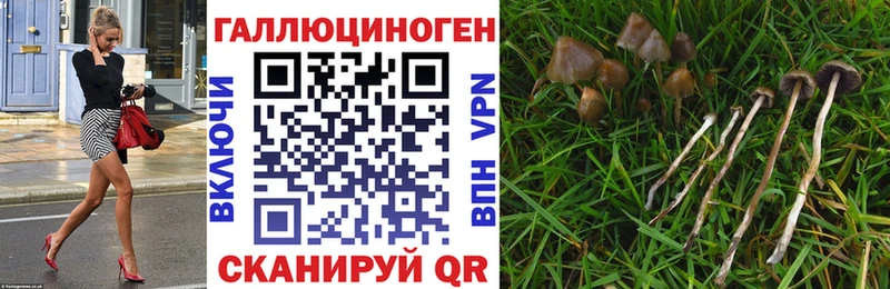 Псилоцибиновые грибы GOLDEN TEACHER  Миасс 
